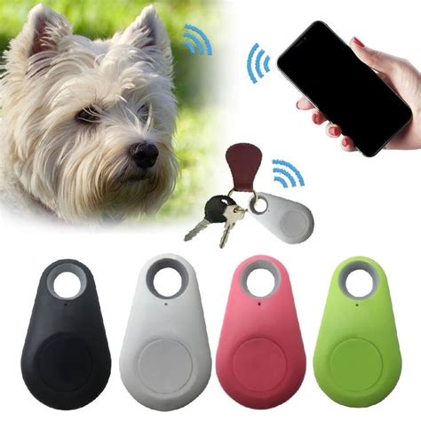 pet rfid tracker